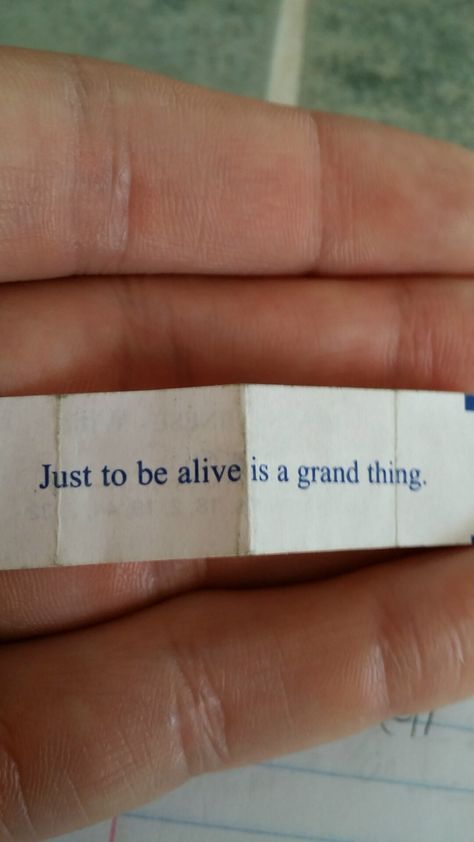 It's a great day to be alive! Quotes About Goodness, What A Time To Be Alive, Feeling Alive Quotes, It's A Beautiful Day To Save Lives, Being Alive Quotes, Alive Aesthetic, Im Alive, Alive Quotes, Fur Elise