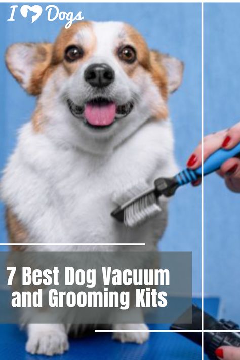 7 Best Dog Vacuum and Grooming Kits Dog Vacuum, Grooming Kit, Grooming Tools, Vacuums, Affiliate Links, Best Dogs, Dog Lovers, Tools, Dogs