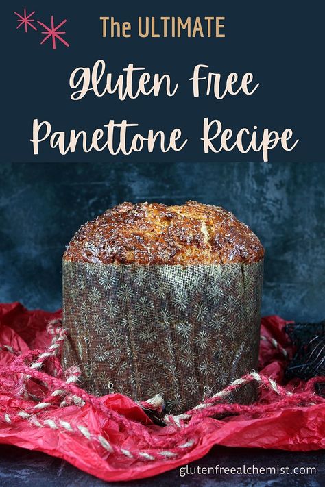 Pannetone Recipe Gluten Free, Chocolate Chip Panettone Recipe, Christmas Dessert Recipes Gluten Free, Gluten Free Panettone Recipe, Chocolate Chip Panettone, Gluten Free Panettone, Hygge Food, Celiac Symptoms, Panettone Recipe