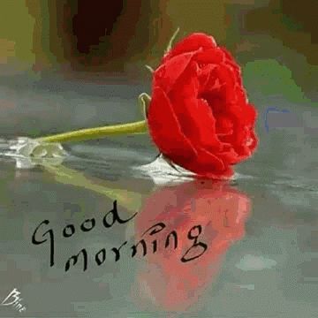 Saturday Good Morning GIF - Saturday GoodMorning Flowers - Discover & Share GIFs Good Morning Gif Funny, Saturday Good Morning, Good Morning Gifs, Weekend Gif, Good Morning Gift, Morning Gifs, Romantic Good Morning Messages, Good Morning Wishes Gif, Good Morning Love Gif