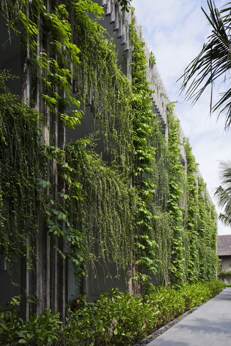 Vtn Architects, Vo Trong Nghia, Vertikal Garden, Green Wall Design, Gardens Of Babylon, Green Facade, Eco Resort, Eco Architecture, Hotel Building