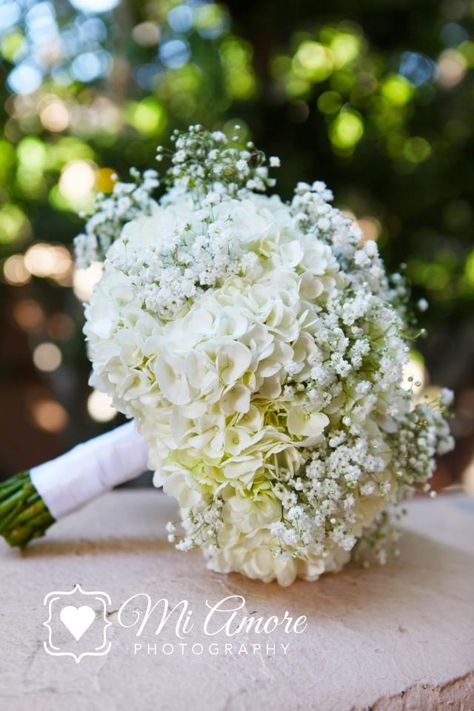 Hydrangea Bouquet Wedding, Wedding Flowers Hydrangea, Hydrangea Bouquet, Boda Mexicana, Babies Breath, Baby Breath, White Wedding Bouquets, Trendy Flowers, White Bouquet