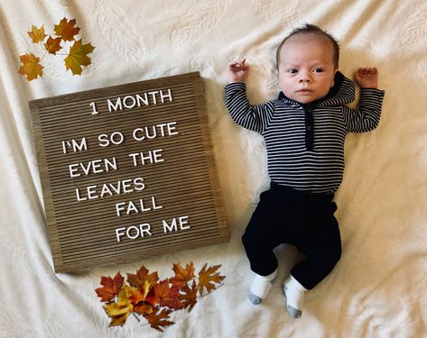 Month Newborn Pictures, September Baby Pictures Ideas, September 3 Month Baby Pictures, 2 Month Baby Picture Ideas November, One Month Old Baby Pictures November, Two Month Milestone Picture, One Month Old Baby Pictures September, September 1 Month Old Baby Pictures, 4 Month Fall Baby Pictures