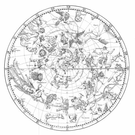 How astrology paved the way for predictive analytics | History of science | The Guardian Neoclassic Tattoo, Greek Astrology, Hermetic Art, Astrology Map, Sidereal Astrology, Astrology Signs Dates, Astrology Dates, Star Charts, Celestial Map