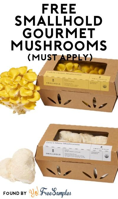 FREE Smallhold Gourmet Mushrooms At Social Nature (Must Apply) https://yofreesamples.com/food-samples/free-smallhold-gourmet-mushrooms-at-social-nature-must-apply/ Mushroom Packaging Design, Mushroom Business, Mushroom Packaging, Gourmet Mushrooms, Food Samples, Mushroom Cultivation, Grow Kit, Packaging Ideas, Free Stuff