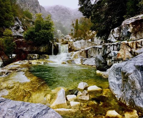 Marble Falls Trail - California | AllTrails Winter Hike, Marble Falls, Spring Months, Sequoia National Park, Crystal Clear Water, Heads Up, Plant Life, National Park, National Parks