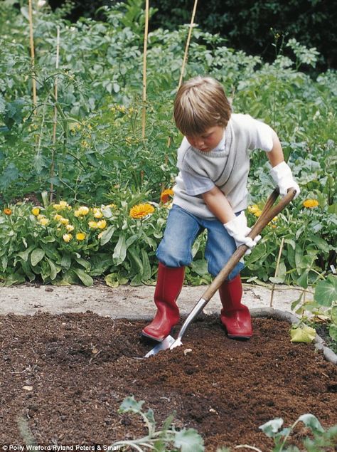 If you are lucky enough to have a large garden, your children will take great pleasure in having their own vegetable patch. It's a great way for them to learn about nature and food. Shotting Photo, Children's Garden, Fostering Children, Kew Gardens, Sleeve Tattoo, Foto Inspiration, Autumn Garden, Gardening For Kids, Shade Garden