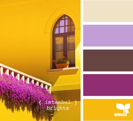 Palettes Color, Seeds Color, Purple Color Palettes, Yellow And Purple, Design Seeds, Color Palette Design, Color Harmony, Color Balance, Colour Schemes