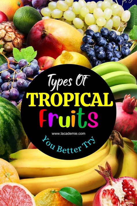 17 Unique Tropical Fruits to Discover in 2024 Tropical Fruit Photography, Cashew Apple, Breakfast Smoothie Bowl, Sweet Smoothies, European Cuisine, Fruit Photography, Cashew Nut, Acai Berry, Exotic Fruit