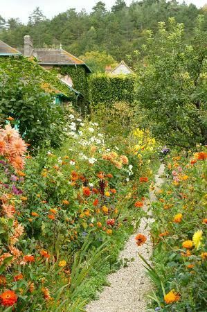 Prairie Garden, Have Inspiration, Wildflower Garden, The Secret Garden, Cottagecore Aesthetic, Country Garden, Community Gardening, Garden Cottage, Country Gardening