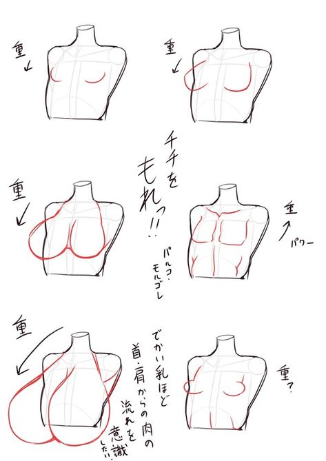 Anime Chest Size Reference, Head Height Proportions, Bunny Outfit Pose Reference, Torso Tutorial Female, How To Draw Anime Bodies Female, How To Draw A Female Chest, Blanket Art Reference, How To Draw Woman Chest, Abs Female Draw