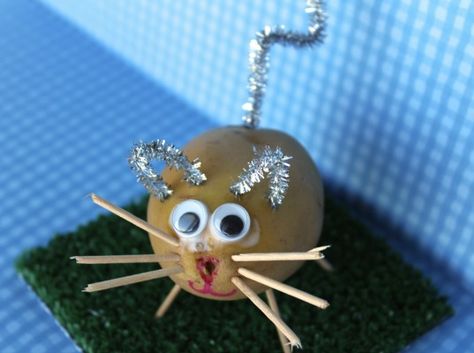 Make these Potato Pets by using old potatoes and a few craft supplies! Kids will love getting creative and making their very own pets! Potato Pet Craft Ideas, Potato Craft, Potato People, Vegetable Crafts, Vegetable Animals, Fruit Creations, Skip To My Lou, Finding A Hobby, Make Your Own Card