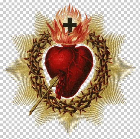 Kahlo Tattoo, Friday Gif, Arrow Illustration, Sacred Heart Tattoos, Catholic Wallpaper, Eucharistic Adoration, Santi Cattolici, Sacred Hearts, Immaculate Heart