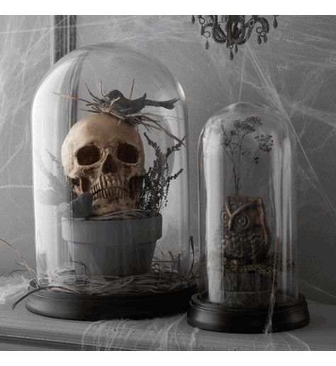 Glass Dome Halloween Decor, Cloche Halloween Ideas, Cloches Decor Ideas For Halloween, Witchy Cloche Ideas, Halloween Glass Jars Ideas, Halloween Dome Display, Glass Dome Decor Ideas, Halloween Cloche Ideas, Halloween Cloche