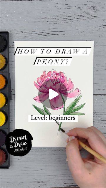 DRAWING TUTORIALS🔹WATERCOLOR🔹SKETCHING on Instagram: "How to draw a peony?🌸💖  ⭐️Join my Patreon art lesson subscription link in my bio @dreamanddraw.school  🎨Get my free demo lesson link in my bio👆  New video tutorial for watercolor sketching beginners😍  #watercolor #watercolour #watercolorsketching #artlesson #arttutorial #watercolortutorial #sketchtutorial #dreamanddrawschool" How To Draw Peony Step By Step, How To Draw A Peony, Watercolor Art For Beginners Tutorial, Peony Drawing Tutorial, Sketching Beginners, Draw A Peony, Watercolor Flower Tutorial, Drawing Peony, Peonies Drawing