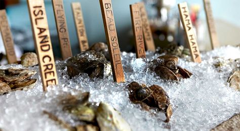 Portland, Maine (Eventide Oyster Co.) — Eventide Oyster Co. Maine Road Trip, Smoked Oysters, Best Oysters, Raw Oysters, Rose Recipes, Seafood Market, Maine Travel, Raw Bars, Oyster Bar