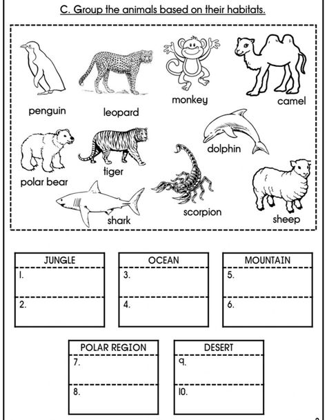 House Worksheet, Habitat Activities, Animal Lessons, Second Grade Science, 1st Grade Science, Homeschool Worksheets, First Grade Science, Animal Worksheets, First Grade Worksheets