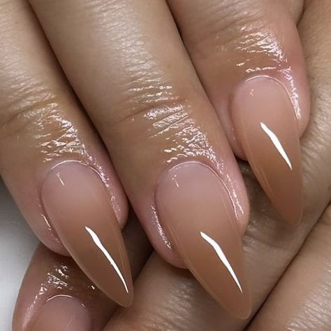 𝐒𝐊𝐘𝐄 | 𝒢𝑒𝓁 𝒳 𝒩𝒶𝒾𝓁𝓈 on Instagram: "♡ 🍫🤎🍂 ♡ length/shape: medium, rounded stiletto . . . . . . ♡ #nailsofinstagram #gelx #apresnails #nails #nailart #apres #nailinspo #nailsofig💅🏼 #inlandempirenails #ienailtech #explore #nailsbyskyelinh" Gel Nail Designs Round Shape, Short Apres Gel X Nails, Nails Acrylic Almond Natural, Fall Medium Length Nails, Apres Nail Ideas, Butter Nails Trend, Different Color Ombre Nails, November Nails Almond Shape, Tapered Almond Nails