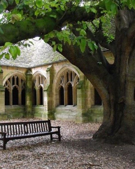 New College Cloisters (Hogwarts Hallways) Step into the magical world of New College Cloisters, where the stunning hallways and courtyards evoke the enchanting atmosphere of Hogwarts School of Witchcraft and Wizardry. 🏛️✨ These medieval cloisters and gardens offer a captivating glimpse into Oxford’s rich history and are a must-visit for any Harry Potter fan. Let’s explore what makes New College Cloisters a magical destination! 🌟📸 Introduction to New College Cloisters Established in 1379, Ne... Hogwarts Garden, Harry Potter Garden, Medieval School, Hogwarts Courtyard, Medieval Courtyard, Harry Potter 2001, School Of Witchcraft, Potter Aesthetic, Bible College