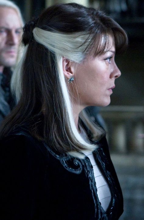 Malfoys Mom, Malfoy Hair, Pelo Chocolate, Narcissa Malfoy, Peekaboo Hair, Mom Hairstyles, Harry Potter Cast, Hair Inspo Color, Harry Potter Memes