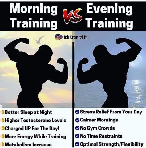 Evening Workout, High Testosterone, Gym Workout Planner, Nutrition Sportive, Gym Tips, Martial Arts Workout, Workout Chart, Effective Workouts, Gym Workout Tips