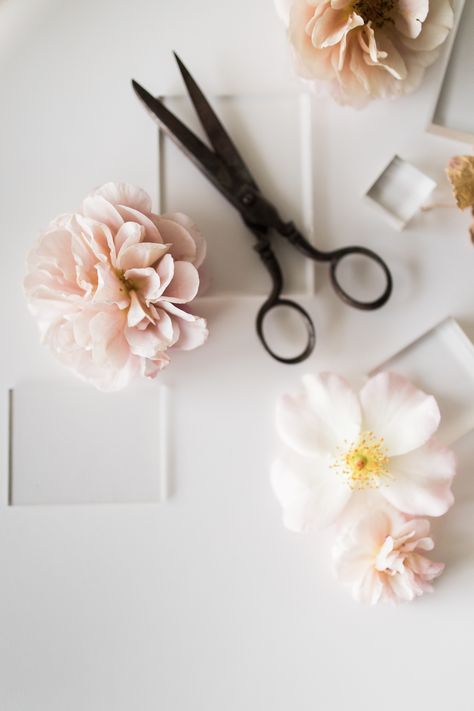 Flat Lay Styling, Hair Salon Pictures, Hairstylist Branding, Salon Pictures, Styled Stock Photography, Elegant Centerpieces, Flatlay Styling, Creative Business Owner, Prop Styling