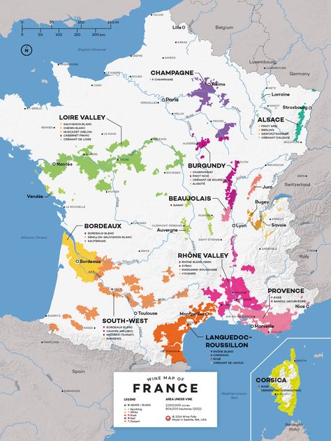 France Wine Map by Wine Folly                                                                                                                                                                                 More Wine Region Map, French Wine Regions, Wine Descriptions, Wine Facts, Wine Folly, Wine Map, Regions Of France, Wine Knowledge, French Cheese