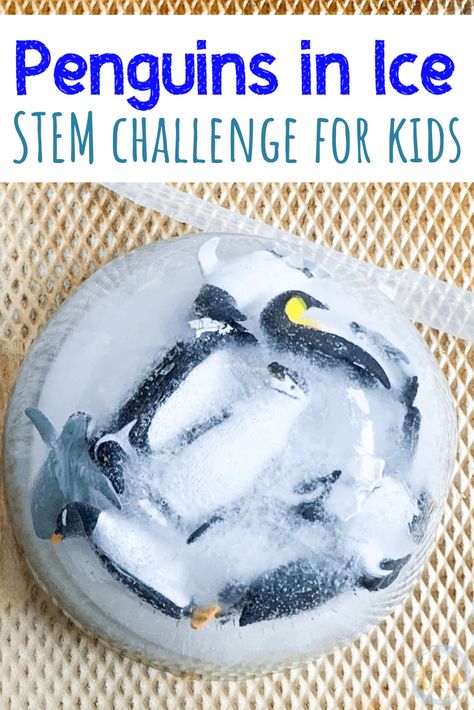 This salt and ice experiment encourages kids to do some critical thinking. A fun penguin themed STEM activity for kids using salt and water to melt ice. #stemchallenge #iceactivity #saltandiceexperiment #kidsactivities #preschool Antarctica Activities, Penguin Preschool, Stem Activity For Kids, Winter Stem Activities, Space Activities For Kids, Penguin Activities, Stem Activities Preschool, Winter Science, Experiment For Kids