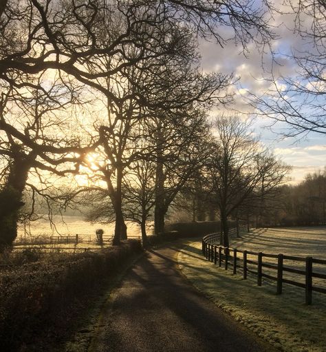 geoff richards on Twitter: "Cold & sunny morning #photography #500pxrtg #StormHour #photo… " Cold Sunny Day, Hollow Moon, Fall Playlist, Vision 2024, Sunny Winter, Morning Photography, Hampshire England, 1 Hotel, Sunny Morning