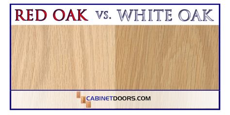 red oak vs. white oak Make Red Oak Look Like White Oak, Red Oak Kitchen Cabinets, Red Oak Kitchen, Red Oak Leaf, Red Oak Tree, Red Oak Stain, White Oak Table, White Oak Tree, White Oak Kitchen