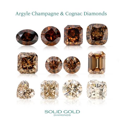 Buy Loose Argyle Champagne and Cognac Diamonds Champagne Colored Diamond Rings, Engagement Rings Brown Diamond, Light Brown Diamond Ring, Brown Diamond Rings, Cognac Engagement Ring, Champagne Stone Engagement Ring, Brown Diamond Jewelry, Brown Stone Engagement Ring, Champagne Ring Engagement