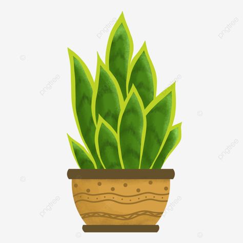 Plant Images, Green Plants, Image Hd, Png Transparent, Clipart Images, Png Clipart, Potted Plants, Indoor Plants, Graphic Resources