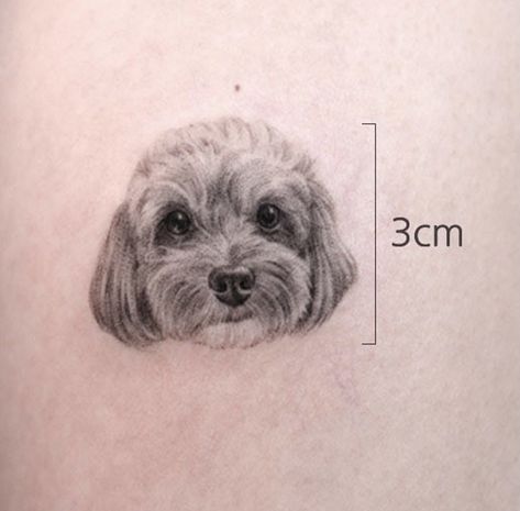 Puddle Tattoo Dog, Cavapoo Tattoo Ideas, Cavapoo Tattoo, Puddle Tattoo, Maltipoo Tattoo, Cat Back Tattoo, Small Tattoo Ideas Back, Poodle Tattoo Ideas, Simple Cat Tattoo