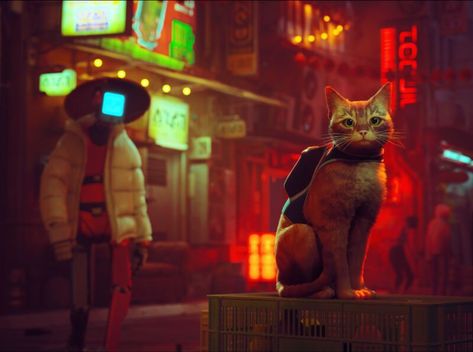 Stray Game Wallpaper, Stray Game, Hd Wallpapers For Pc, Game Wallpaper, Kitty Games, Top Anime, Iphone Games, Adventure Games, Curious Cat