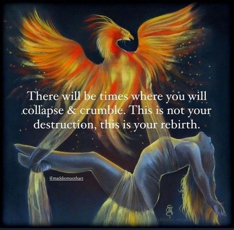 Phoenix Quotes, Spiritual Awakening Quotes, Divine Feminine Spirituality, Blessed Be, Energy Healing Spirituality, Awakening Quotes, February 13, Shadow Work, Spirituality Energy