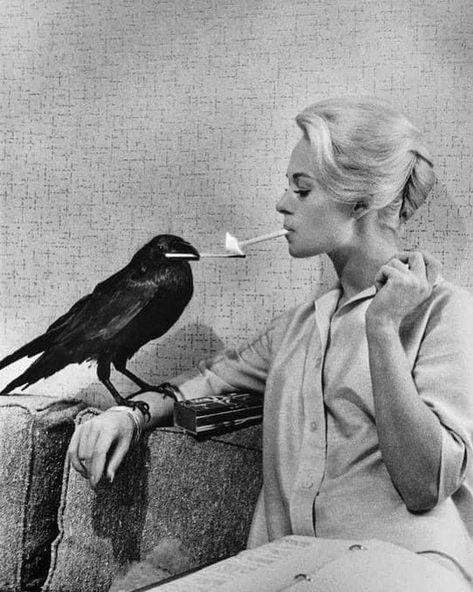 The Birds by Alfred Hitchcock 👈🏻 Alfred Hitchcock The Birds, Philippe Halsman, Tippi Hedren, Alfred Hitchcock Movies, Hitchcock Film, Steve Mccurry, Kunming, Colossal Art, James Joyce