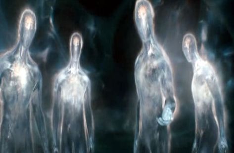 Giant 'translucent figures' are visiting Planet Earth - according to the FBI Light Beings, Alien Abduction, Extra Terrestrial, Aliens And Ufos, Ufo Sighting, Ancient Aliens, In The Dark, Universe, Mindfulness