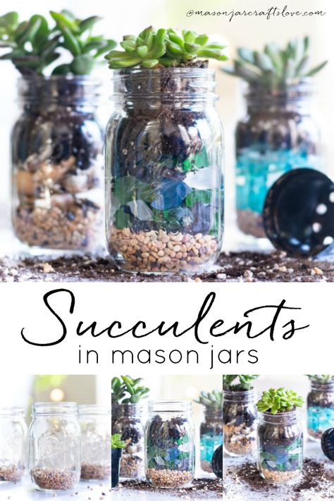 Jar Planter Ideas, Jar Plants, Easy Mason Jar Crafts Diy, Mason Jar Plants, Mason Jar Succulents, Easy Mason Jar Crafts, Mason Jar Planter, Plants In Jars, Crafts Love