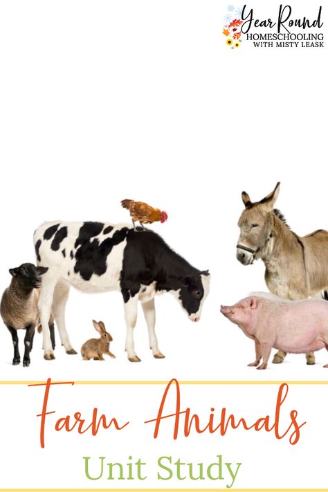 Homeschool Farm Unit, Free Farm Printables, Farm Animal Printables Free, Mammal Unit Study, Farm Animals Printables, Farm Anatomy, Farm Unit Study, Horse Drawing Tutorial, Homeschool Units