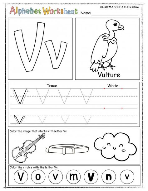 Letter Vv Worksheets, Letter V Worksheets For Preschool, Letter V Activities For Kindergarten, Letter V Tracing Worksheet, Letter V Printable, Letter Vv Activities For Preschool, Letter V Activity For Preschoolers, Letter V Worksheets For Kindergarten, Preschool Letter V Activities