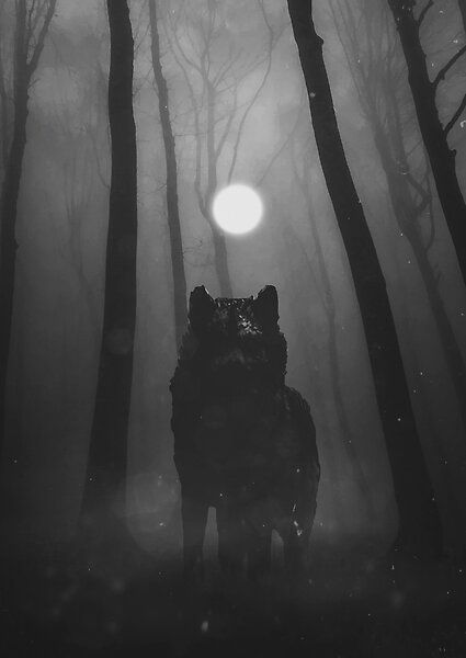 Lone by AndrejZT | Redbubble Werewolf Stories, Demon Wolf, Wolf Images, Wolf Photos, Wolf Wallpaper, Wolf Love, Wolf Pictures, Big Bad Wolf, Arte Obscura