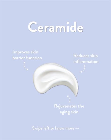 Time to learn a new skincare ingredient: Ceramide! ⚖️ Did you know that Ceramides are fats or lipids that are found in skin cells? They also make up 30% to 40% of our outer skin layer (epidermis). Korean Advertising Design, Ceramides Skin Care, Skincare Advertisement, Skincare Infographic, Skincare Education, Korean Beauty Products, Korean Cosmetic, Skincare 101, Skincare Benefits