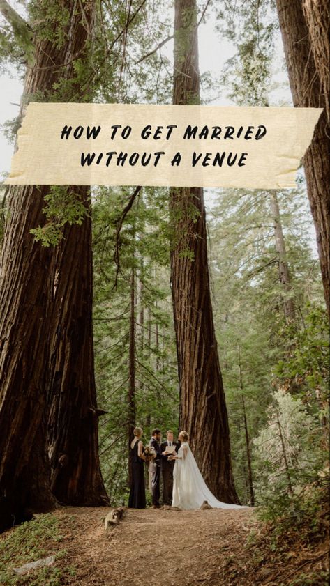 Intimate Wedding Forest, Wedding At National Park, Wedding In Woods Ideas, Cheap Nature Wedding, Small Intimate Forest Wedding, Small Wedding In Nature, Getting Married In A National Park, Outdoor Park Wedding Ceremony, Intimate Woodsy Wedding