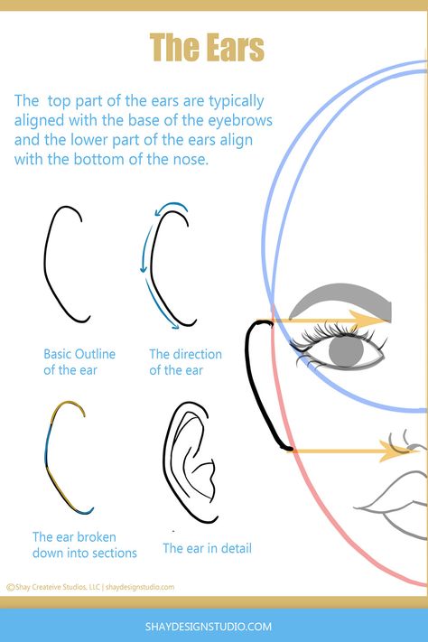 How To Draw Ears From Front View, How To Draw Ears On A Face, Ear Front View Drawing, Ear Drawing Tutorial Step By Step, Drawing Ears Front View, Ear Sketch Step By Step, How To Draw Ears Easy, Ear References Front View, Ear Drawing Front View