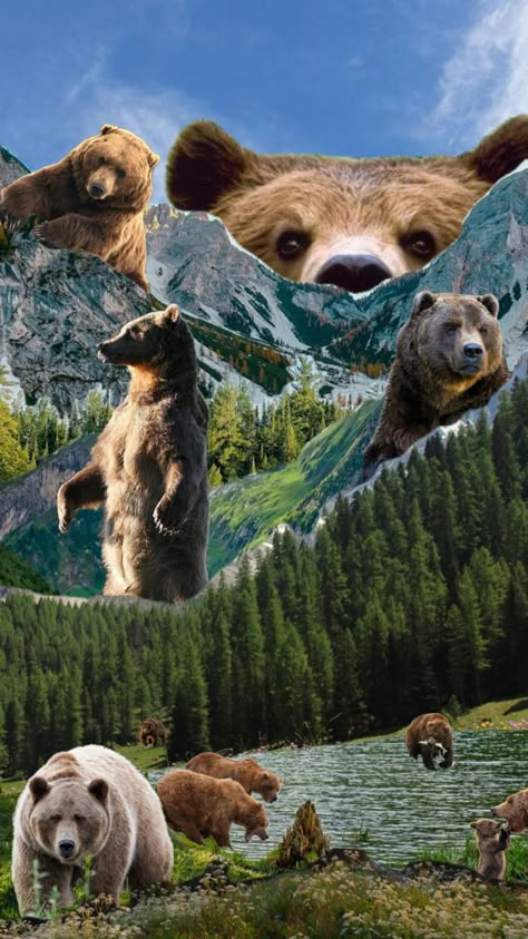 #nature #bear #brownbear #camping #hiking #outdoors #nationalparks #collage #inspo #wallpaper #collageart #shufflefyp #fyp #popular #inspo #aesthetic #vibes Animal Collage Wallpaper, Aesthetic Bear Wallpaper, Mountains Collage, Bear Aesthetic Wallpaper, Bear Wallpaper Aesthetic, Inspo Wallpaper, Camping Wallpaper, Wildlife Biologist, Nature Collage