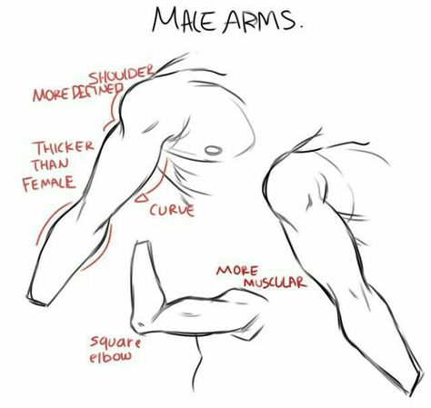 Arm Anatomy, Muscular People, Arm Drawing, Male Figure Drawing, Drawing Hands, Human Figure Drawing, Anatomy Drawing, Poses References, Figure Drawing Reference