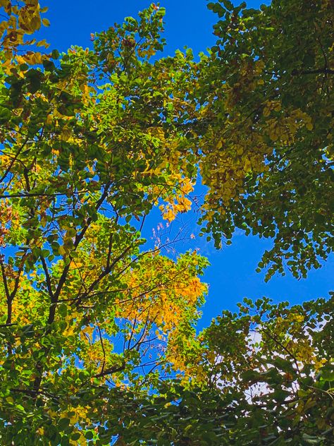 Yellow Green And Brown Aesthetic, Green Yellow And Blue Aesthetic, Yellow Green Blue Aesthetic, Yellow And Green Aesthetic, Pretty Views, Wallpaper Instagram, Daily Mood, Aesthetic Autumn, Urban Aesthetic