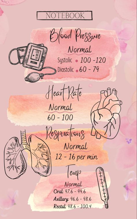 Vital signs referance notebook, perfect gift for your medical student. Nursing School Studying Cheat Sheets, Nursing School Inspiration, Nursing Journal, Medical Assistant Student, Nursing Motivation, Nursing School Essential, Nursing School Motivation, Medical School Life, Nurse Study Notes