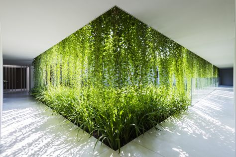 Naman Spa,© Oki Hiroyuki Moderne Have, Gardens Of Babylon, Desain Lanskap, Vertical Gardens, Green Architecture, Patio Interior, Hus Inspiration, Design Exterior, Hanging Garden