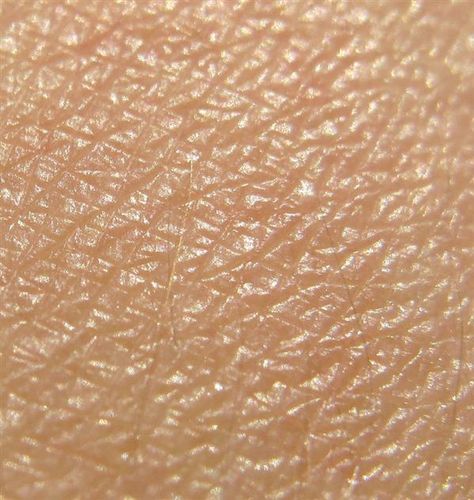 Human Skin Bump map texture Human Skin Texture, Skin Facts, Skin Bumps, Skin Photo, Texture Mapping, Body Anatomy, Pretty Skin, Anatomy Reference, Animal Skin